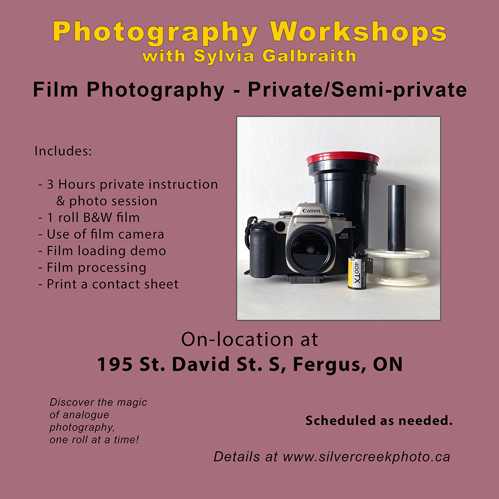 intro photo skills_jan 2025