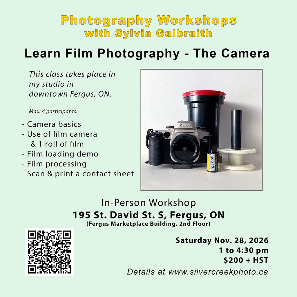 intro photo skills_jan 2025