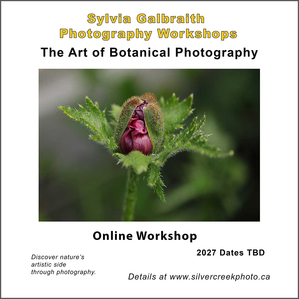 art of botanicals
