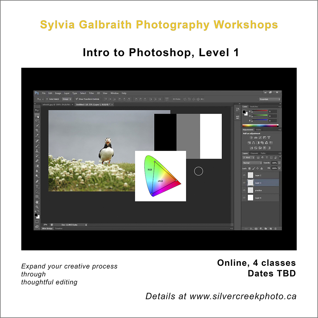 photoshop_4