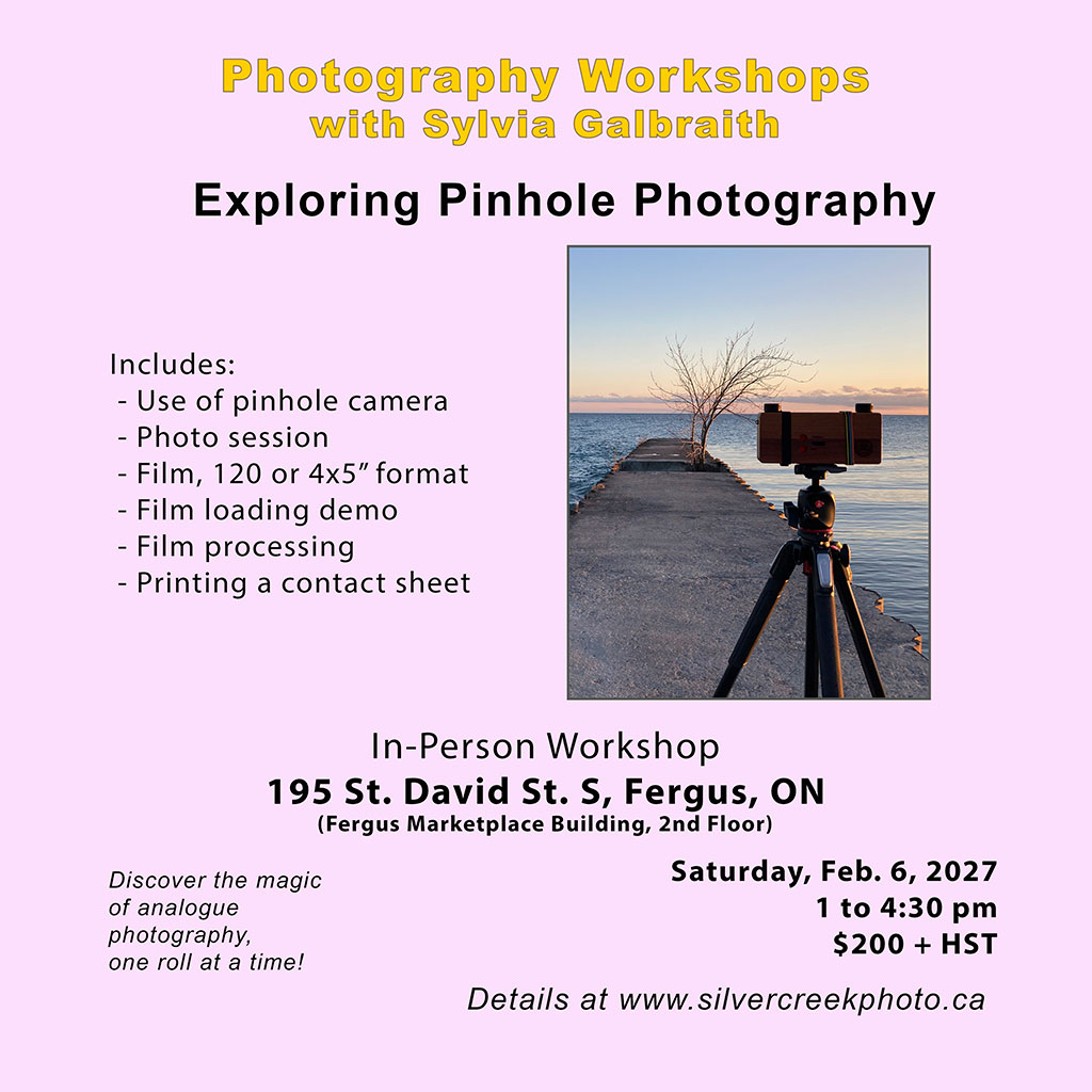 intro photo skills_jan 2025
