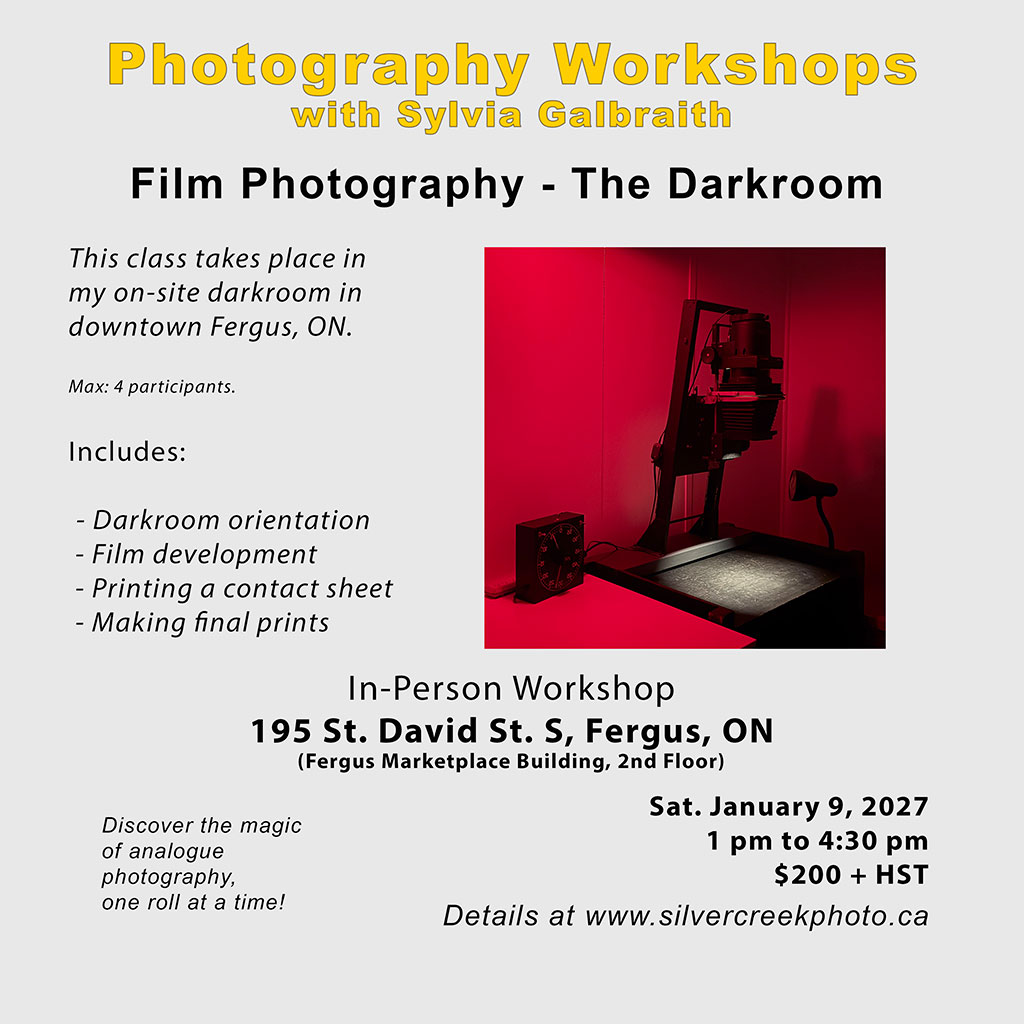 intro photo skills_jan 2025
